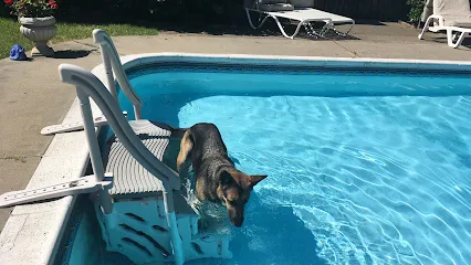 Logo of A-1 Pools Service & Supply