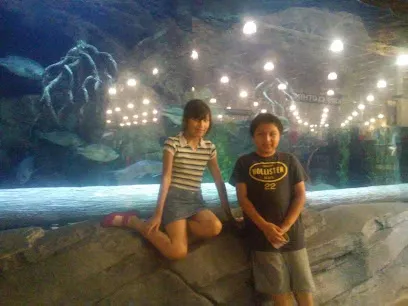 Logo of AAA Custom Pools