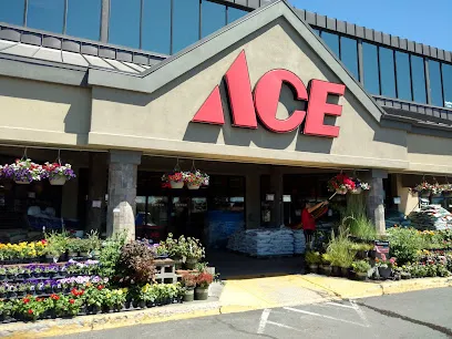 Logo of Ace Hardware & Paint