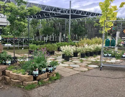 Logo of Ace Hdw Center/Weston