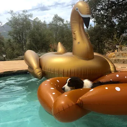 Logo of Adolfo and Manny Pool Supplies