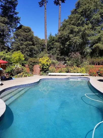 Logo of APPI Pool & Spa