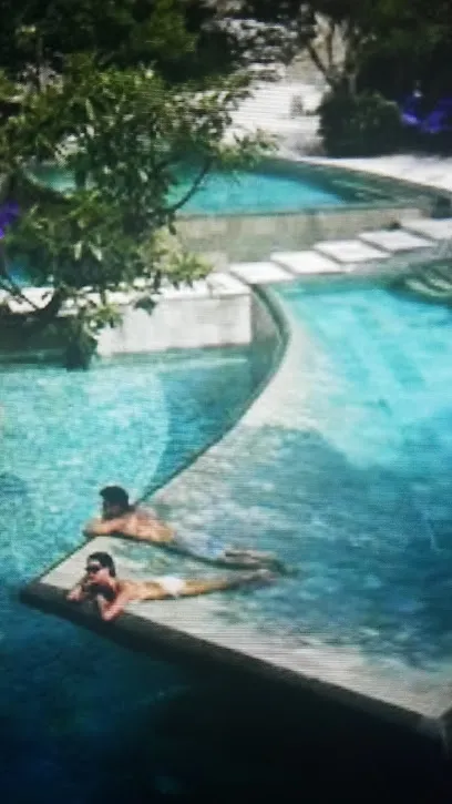 Logo of Aqualine Pool & Spa inc.