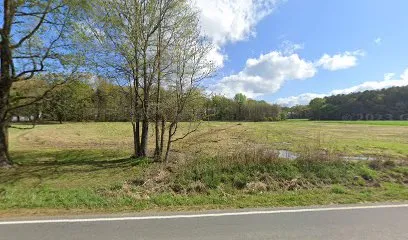 Logo of Blue Nile Custom Pools & Patio