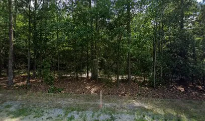 Logo of Caribbean Clear Inc