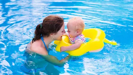 Logo of Celebrity Pools & Spa