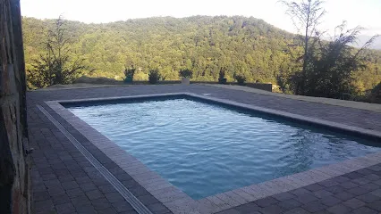 Logo of Chandler pool and spa