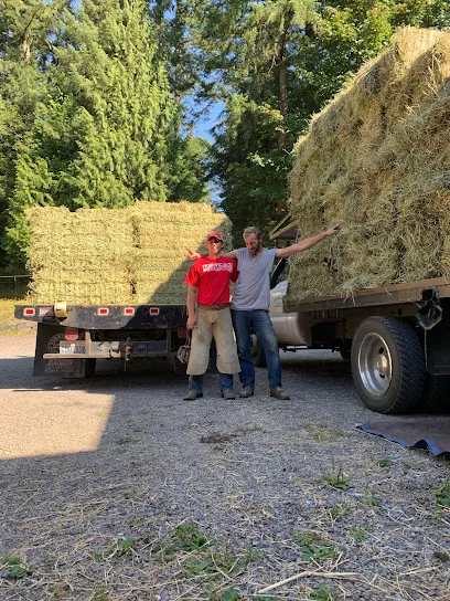 Logo of Clearview True Value Hardware & Feed