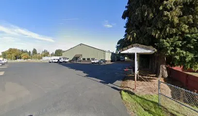 Logo of Custom Pool Slides