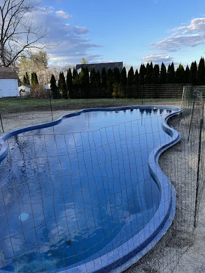 Logo of D&P Swimming Pool, Inc.