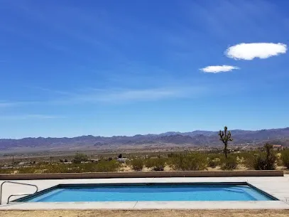 Logo of Dedicated Pool & Spa Service