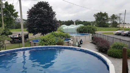 Logo of Designer Pools