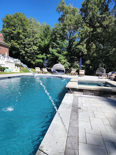 Logo of Dingman Pools and Spas inc