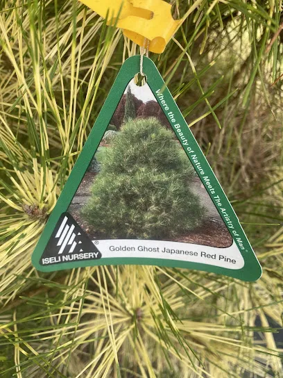 Logo of DJ Pools and Spas