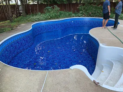 Logo of Dolphin Pool & Spa