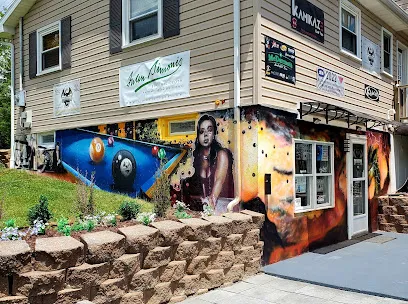 Logo of Dragon Billiards Instruction