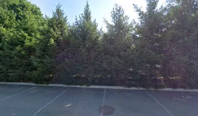 Logo of Dry Ice Corporation