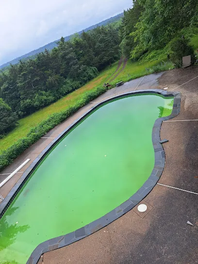 Logo of Elite Swimming Pool Services & Supply