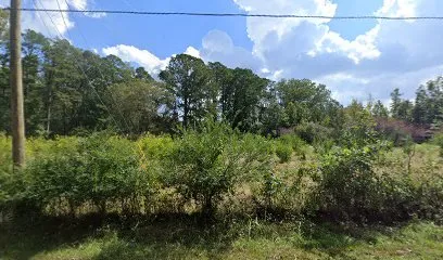 Logo of Emerald Pool