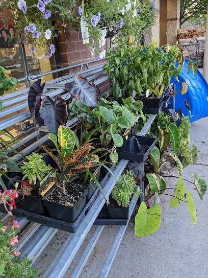 Logo of Frattallone's Hardware & Garden