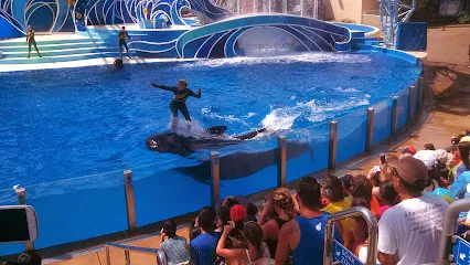 Logo of Grace's Pool & Spas