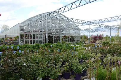 Logo of Hahn Ace Hardware & Rental