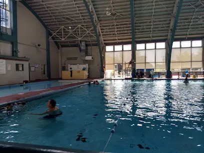 Logo of Hayward Plunge