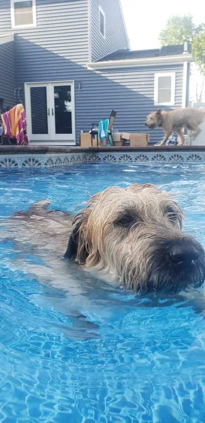 Logo of Jet Line Products Inc - Wholesaler