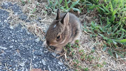 Logo of Ken-Ray Pools