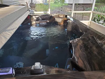 Logo of Kirsplash Pools