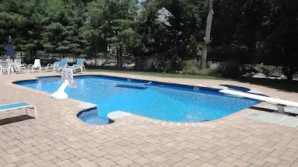 Logo of Landau Pools & Spas