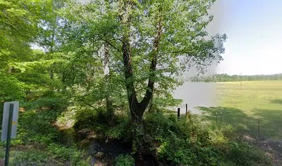 Logo of Law Pools and Patio