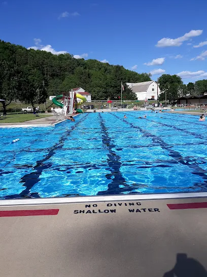 Logo of Loyalsock Community Swim Pool
