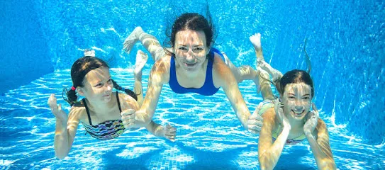 Logo of Martinelli Pools & Spas