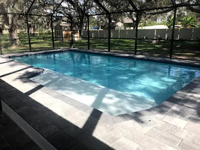 Logo of Natural Springs Pools