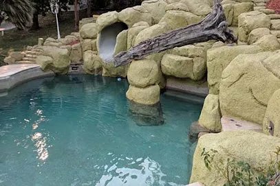 Logo of New Star Pools & Electrical Repairs