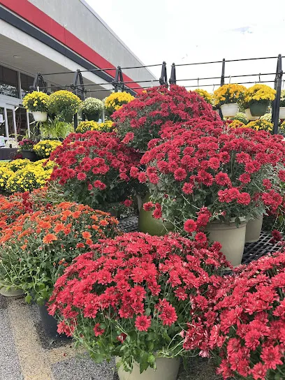 Logo of Olson's Ace Hardware