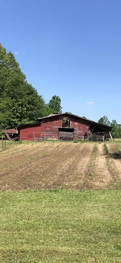 Logo of Ouachita Pools