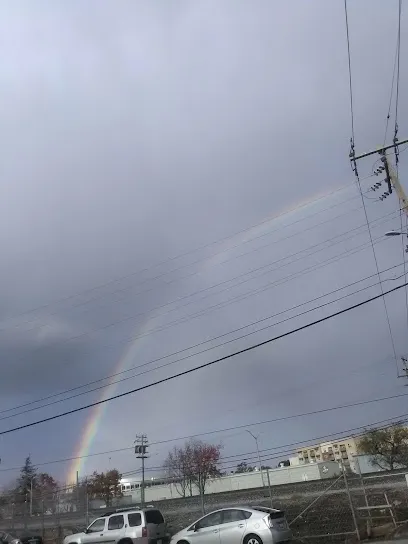 Logo of Peninsula Chemical Company