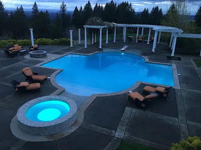 Logo of Pool and Spa Medic