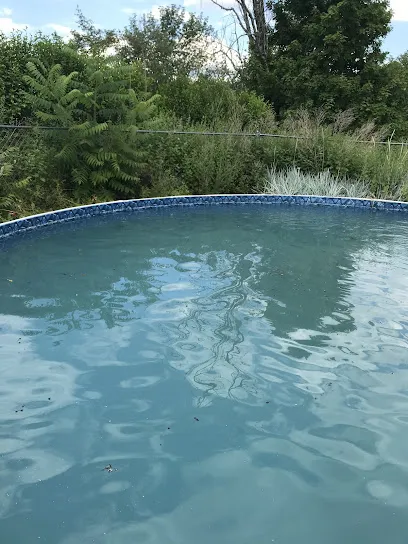 Logo of Pool Doctor Of Sullivan County-Swimming Pool Contractor in Sullivan County