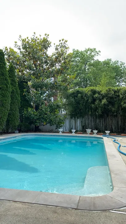 Logo of Pool & Spa In Town, LLC