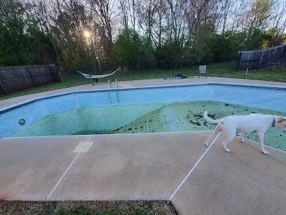 Logo of Pool Time Inc