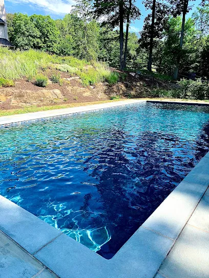 Logo of Pools Plus Ct