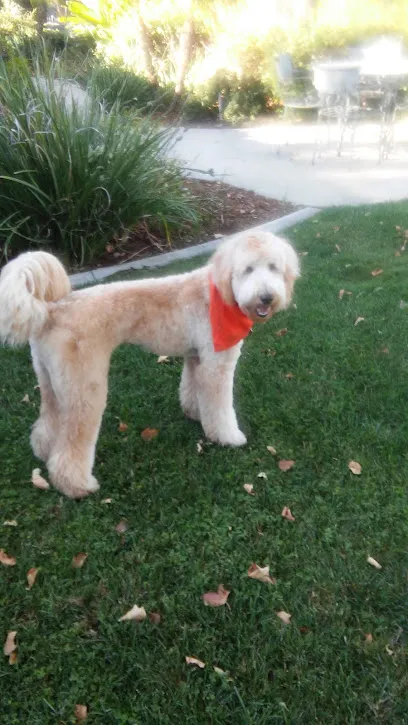 Logo of Porter's Pool & Spa