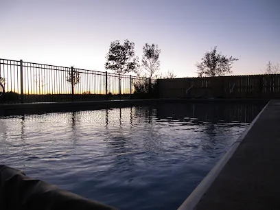 Logo of Professional Pool & Spa