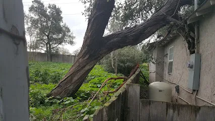 Logo of Quality Crystal Clear Pool Company