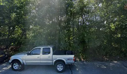 Logo of Ready To Swim Pools