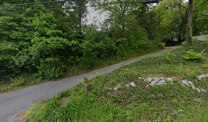 Logo of Royal Pools of Chattanooga