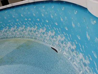 Logo of Save More On Pool Supplies